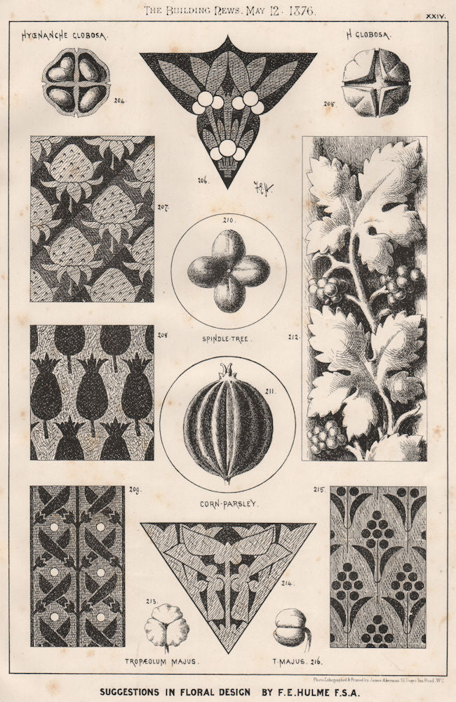 Suggestions in Floral; design by F.E. Hulme F.S.A.. Botanical 1876 old print